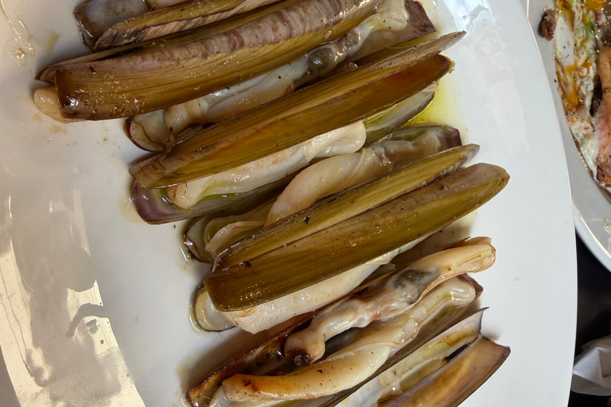 Kukutchas at Cuchara de San Telmo