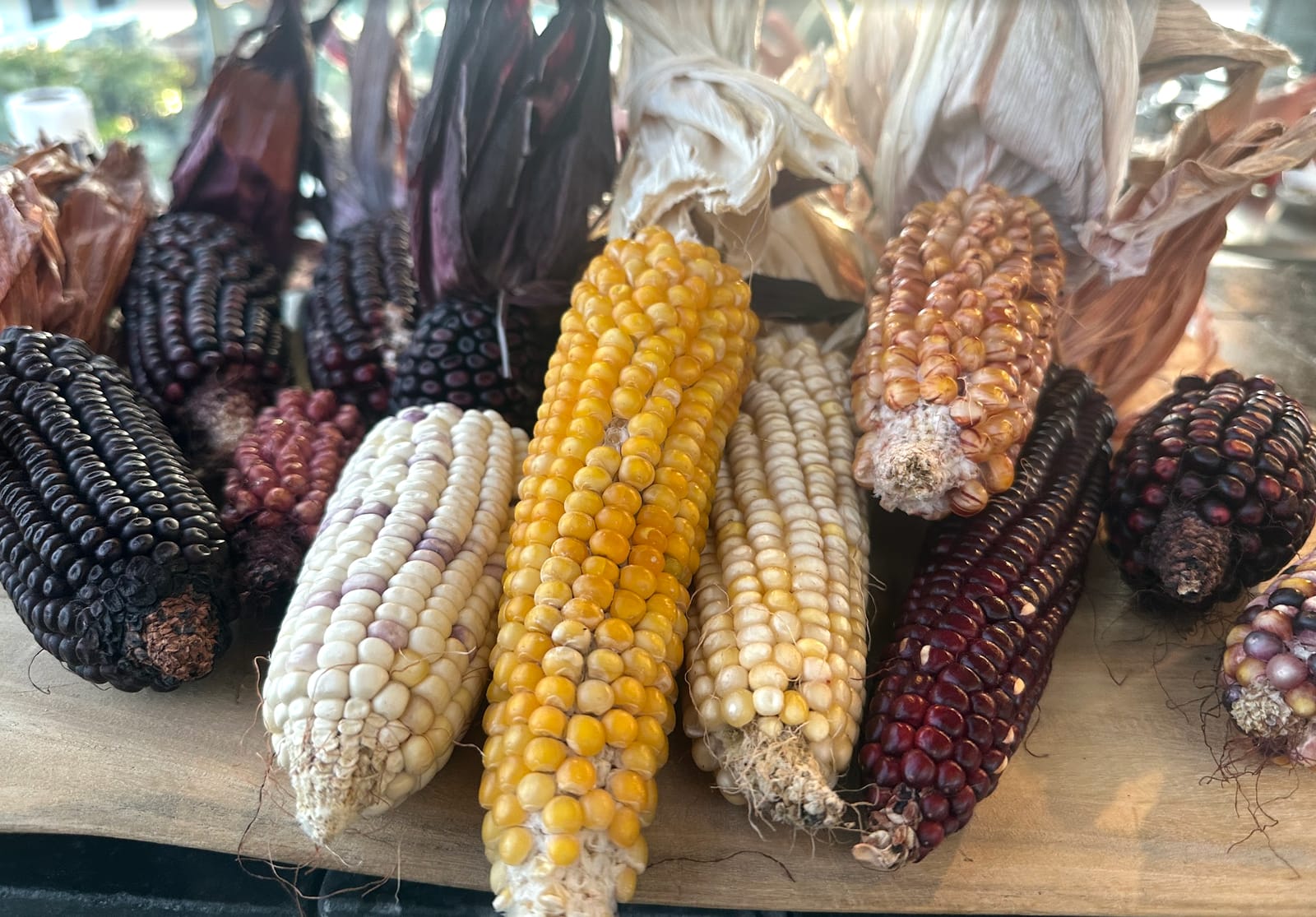 More from Diacá