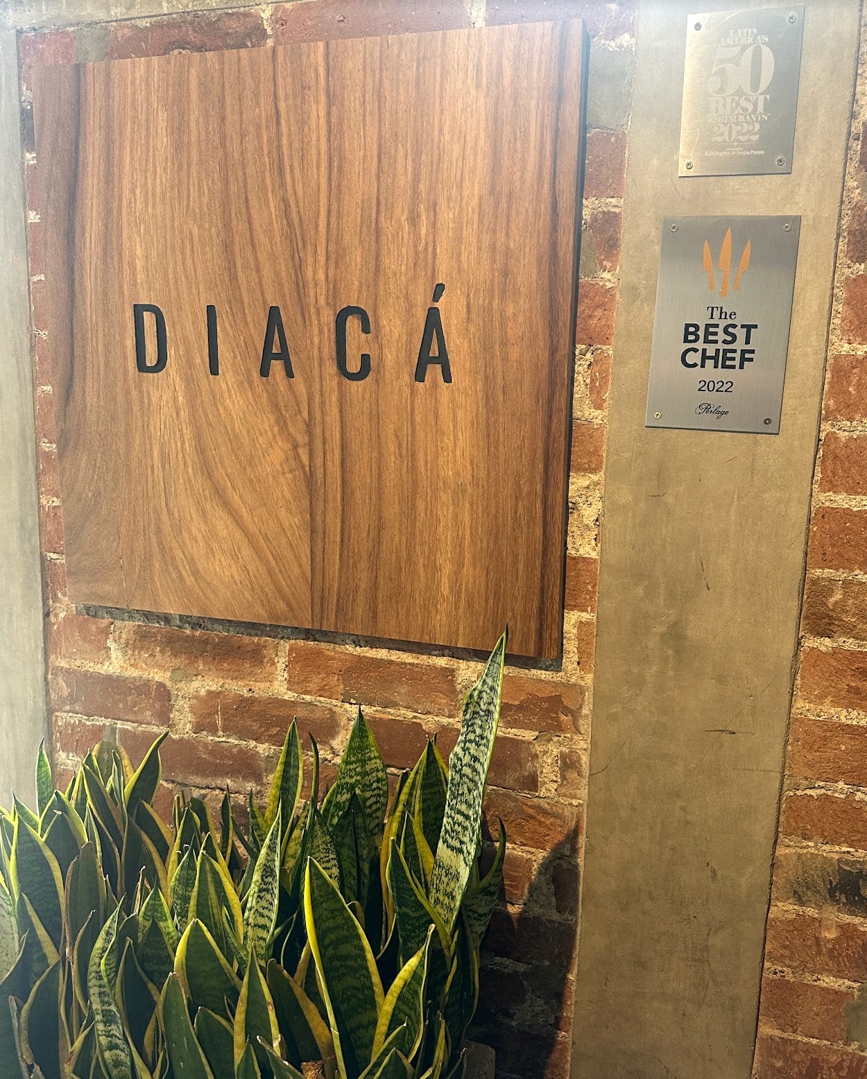 More from Diacá